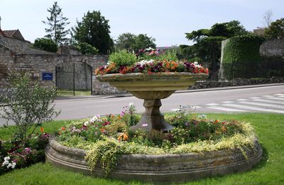 Fontaine fleurie..