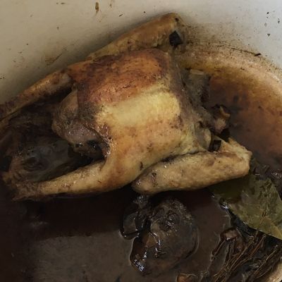 Pigeon rôti en cocotte