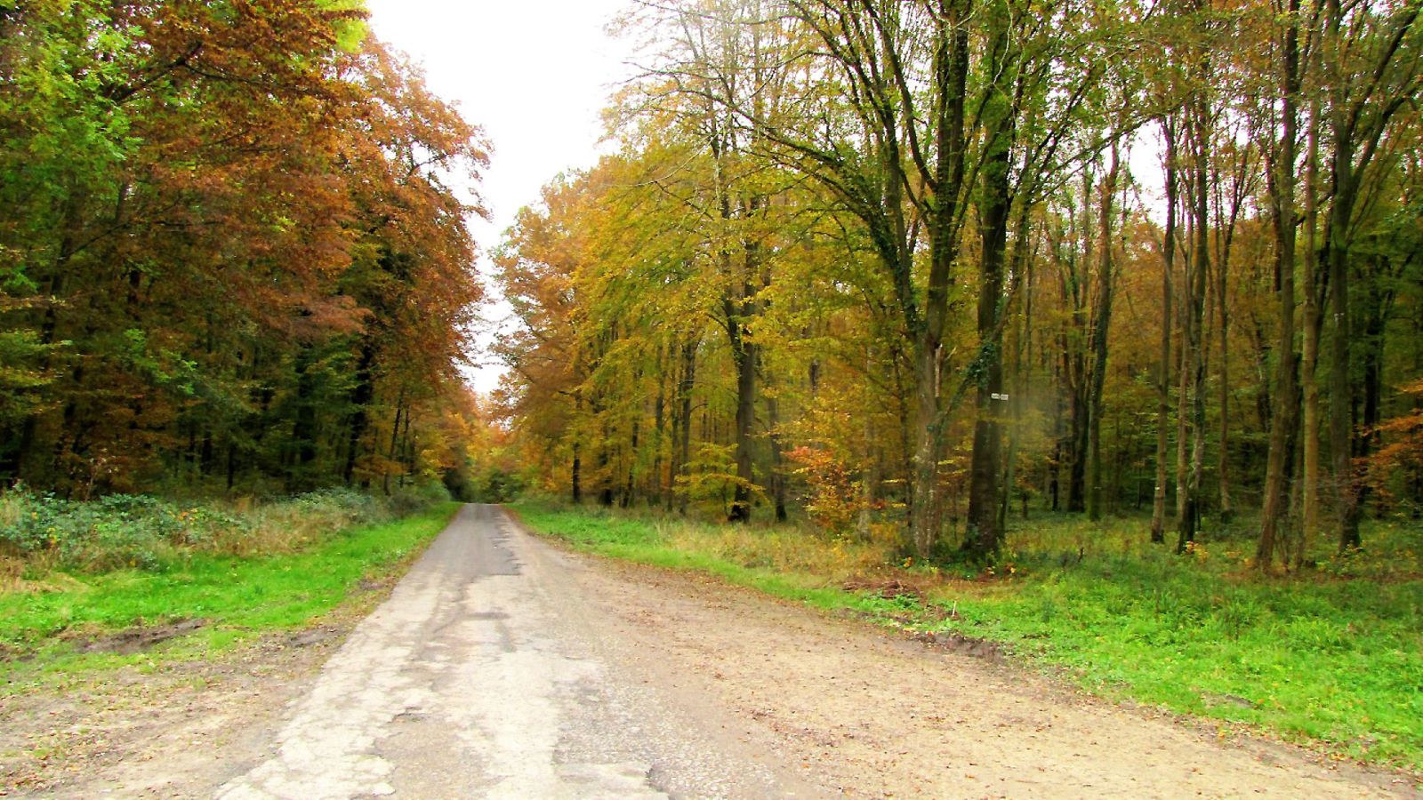 la Route du Faîte