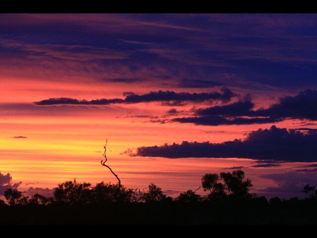 Album - australie-debut-outback