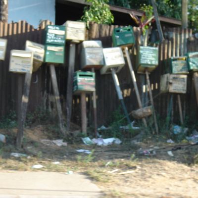 QUOI FAIRE EN GUYANE