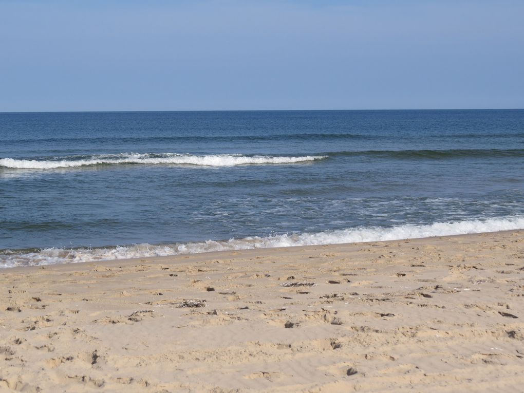 TROIS APRÈS-MIDI À LA PLAGE , DE MAGNIFIQUE PLAGES ......