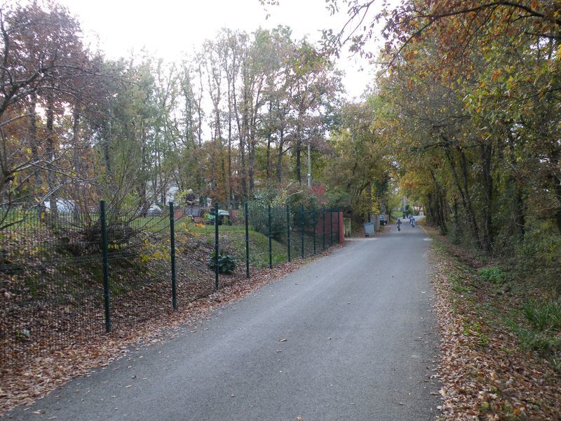 notre quartier pdt l'automne 2009