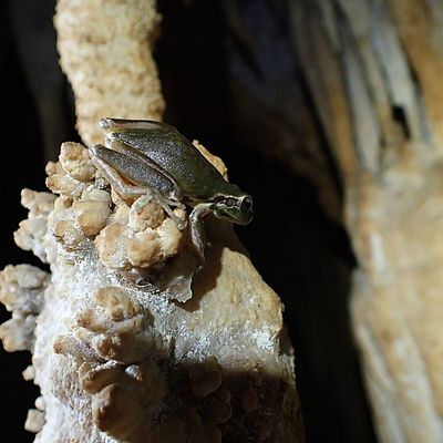 14 Septembre 2025 : Interclub à La Grotte des Fées