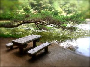 Kôbé : Le mont Rokkô et son très beau parc Shinrinshokubutsuèn 森林植物園 