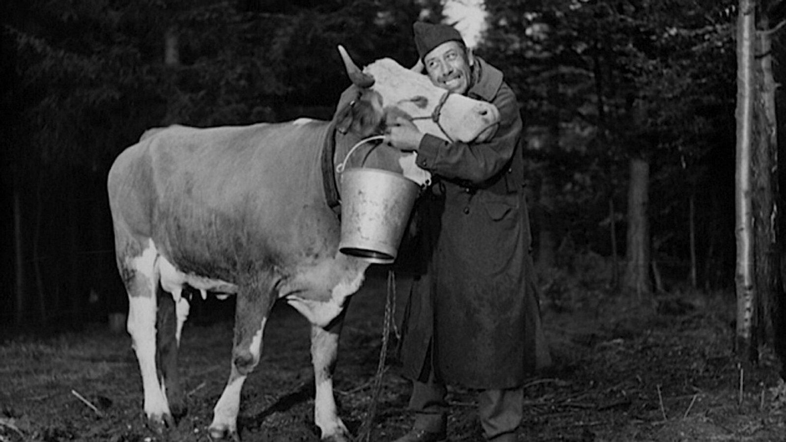 la petite vache aux marguerites - Marie B