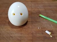 1 - Mettre un peu de mayonnaise dans un bol et la colorer en la mélangeant avec l'encre de seiche (ou un colorant alimentaire noir). Ecaler les oeufs durs, couper la base pour qu'ils soient bien stables et tiennent bien droit. A l'aide d'une paille, creuser deux trous dans l'oeuf à la place de yeux. Former avec un couteau une découpe sous les yeux pour imiter la bouche. Utiliser un peu de wasabi pour "coller", faire tenir debout et disposer les branches de fenouil dans un plat rectangulaire légèrement creux  (comme s'il s'agissait d'une forêt). Remplir délicatement le plat avec la mayonnaise grise pour matérialiser la terre, et y déposer les oeufs durs.  Présenter votre plat sur un fond sombre décoré de quelques chauves-souris taillées dans une tranche de pain de mie à l'aide d'un emporte-pièce, ajouter quelques araignées en décoration. Et voilà votre forêt de fantômes !