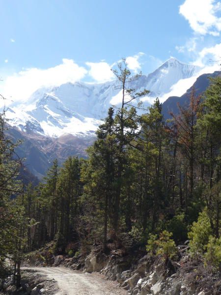 15 jours de trek qui s'achevent dans la tranquille ville de Pokhara. 