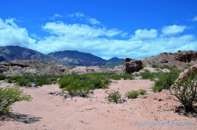 Quebrada de las Conchas - Los Colorados, Argentine en camping-car