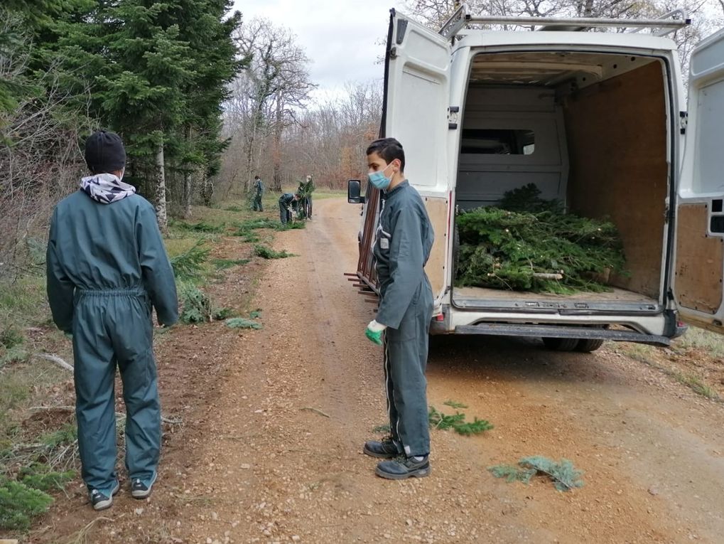 Après l'élagage, retrait et tri de tous les éléments inutiles qui seront replacés dans la forêt, puis chargement dans le véhicule.