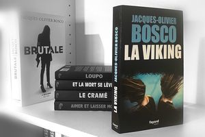 La viking - Jaques-Olivier Bosco