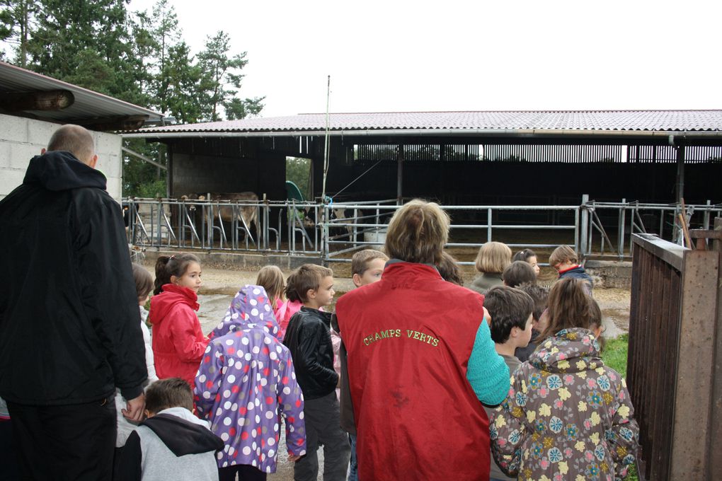 Sortie à la Ferme des Champs Verts : confection de glace et visite ; Reporters "La MJC en construction"...