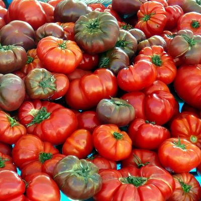 Visite au marché du Barcarès !