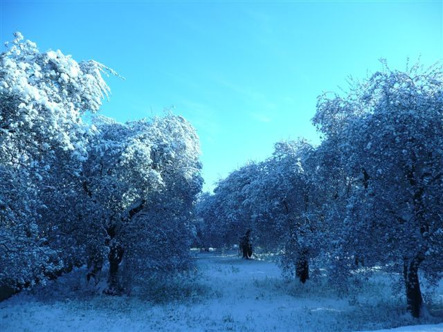 ANTIBES SOUS LA NEIGE