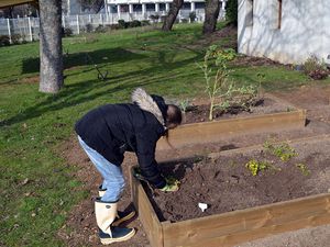 Plantations du jeudi 9 février 2017