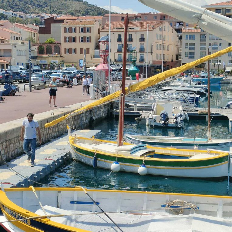 Le fret rails/mer à Port-Vendres : une porte d'entrée vers de nouvelles opportunités! interviews Laurent Gauze président de la CCI, Maité Rico adjointe à l'urbanisme de Port Vendres, Cyril Vervieu CCI du Port, David et Michael Singeot CGT docker Port Vendres, Mikaël Meusnier, et Julien Berthélémy CGT cheminot.par Nicolas Caudeville par 