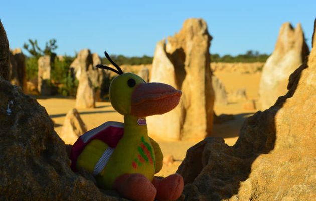 Lancelin, Pinnacles & Lac rose