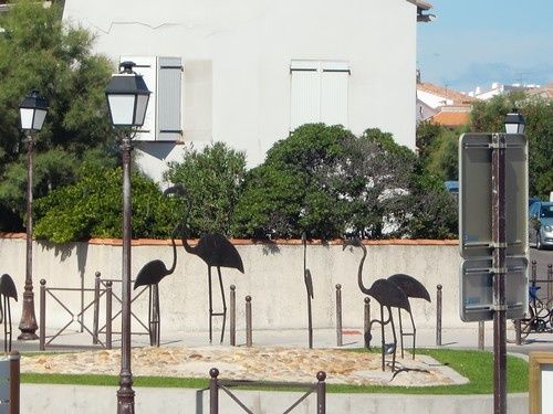 Une journée en Camargue...