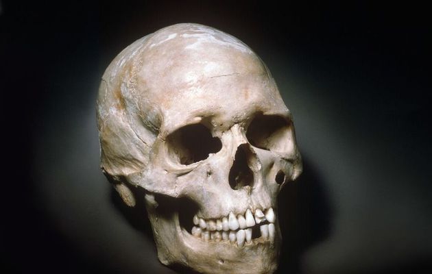 Et si l'Homo Sapiens ne venait pas d'Afrique ? Mais d'Asie ? La découverte de la Grotte de Fuyan.