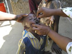 Progrès dans la lutte contre la poliomyélite en Afrique