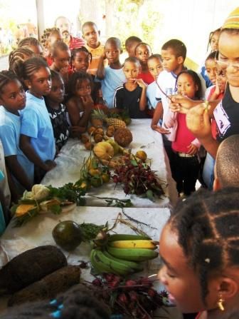 Reconstitution d'un jardin créole par les parents d'élèves avec les fruits et légumes d'antan!
Puis reconstitution d'un étalage comme au marcher.
Spectacle de Noël en créole!