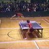 Ping pong et badminton