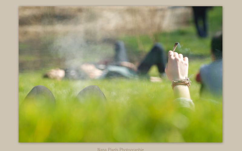 Parc des Buttes-Chaumont