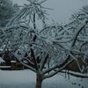 paysage blanc