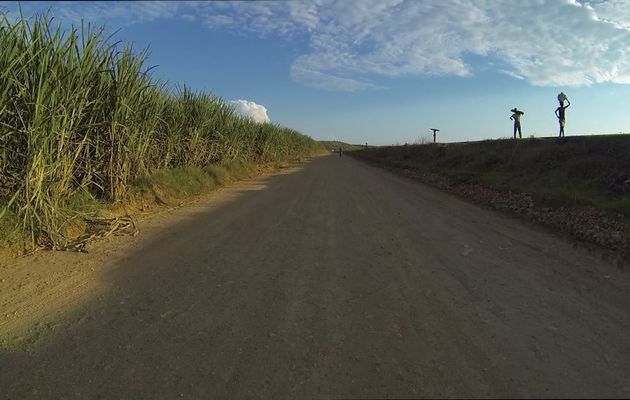 Sortie à la sucrière de Kwilu