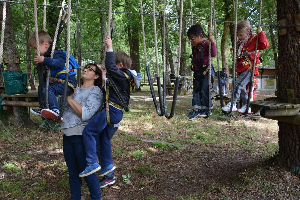 La Moyenne Section sur terre et dans les airs!