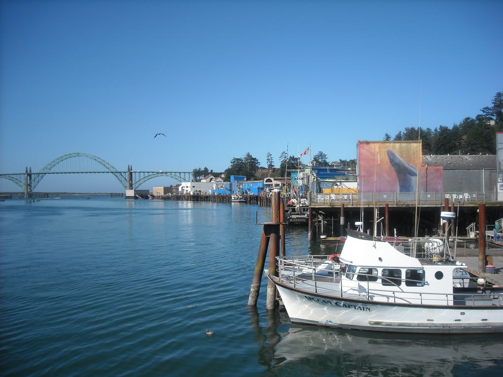 De Seattle (Etat de Washington à Crescent City (Californie), sur  une distance de 1000 kms, la côte oregonnaise offre un paysage magnifique, sauvage et grandiose où souffle l'esprit des peuples premiers, les indiens d'Amérique du Nord.