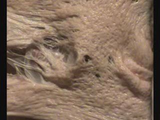 Récolte au creux de l'oreille : nouvelle version.