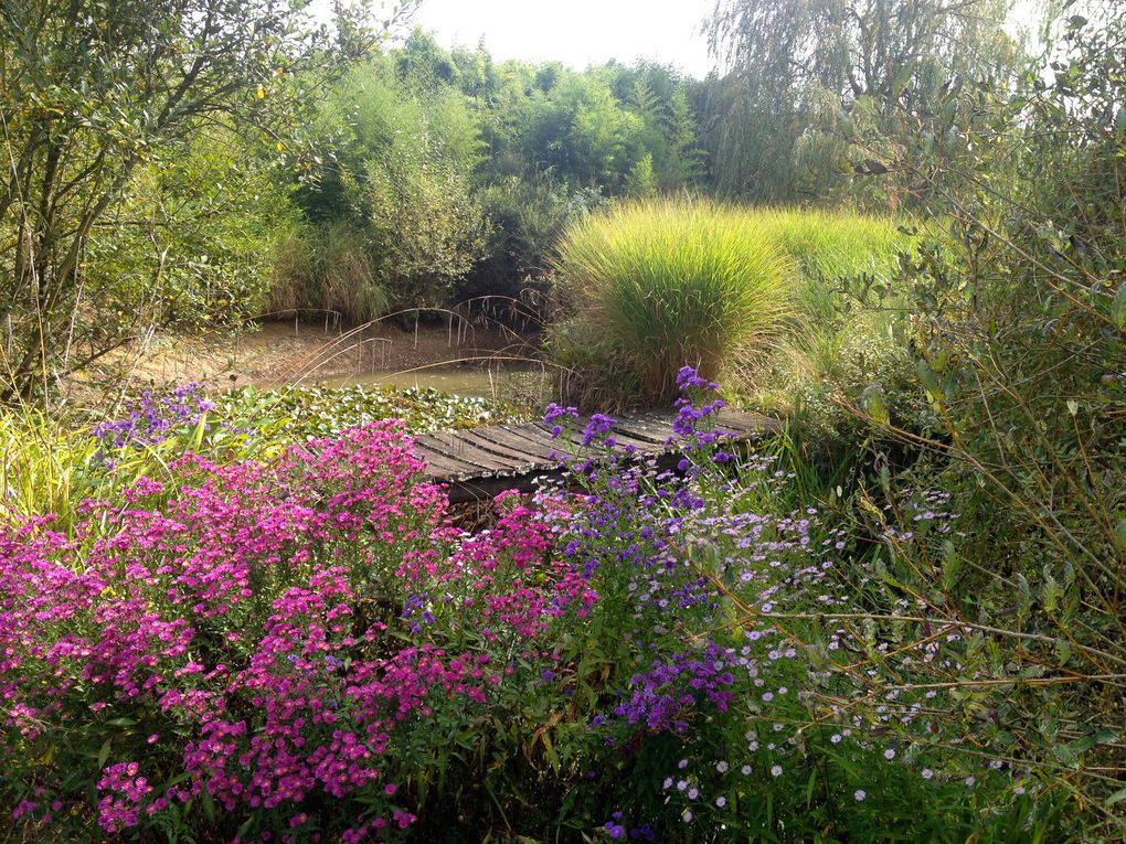 La végétation devenait trop luxuriante. (6 photos)