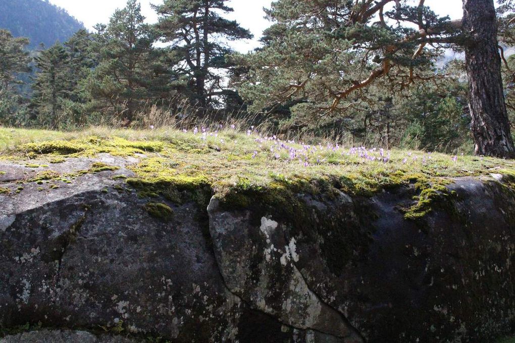 avant de faire une petite marche dans la montagne environnante