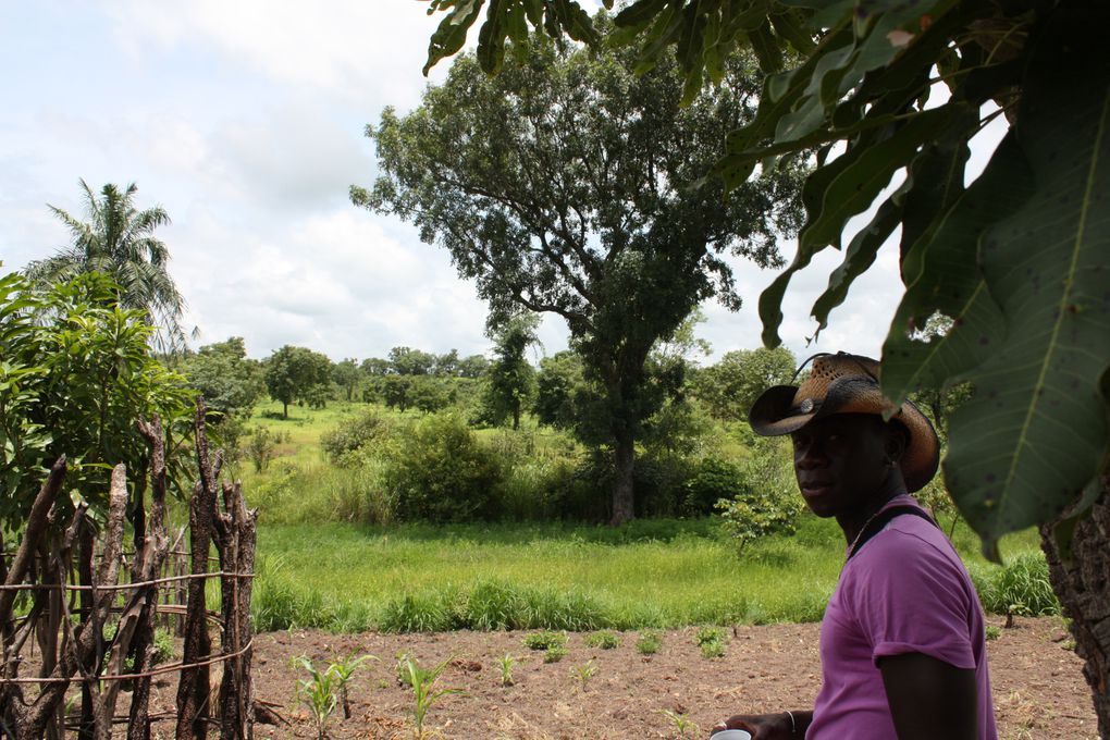 septembre au sénégal : 3 semaines en amoureux, de kédougou à popenguine