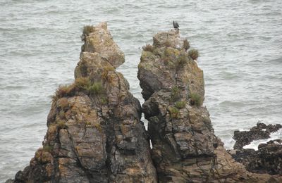 Sur les rochers