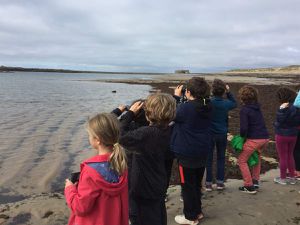 L'école au pays des dunes