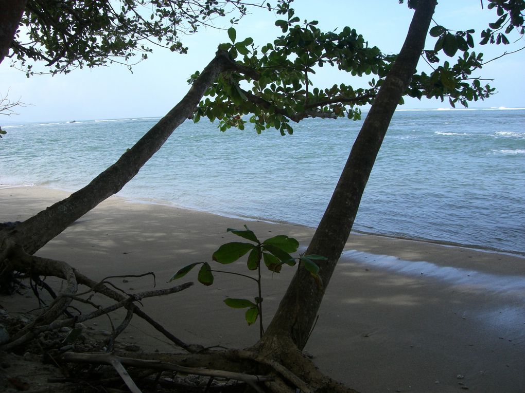 Cahuita et nouvel an