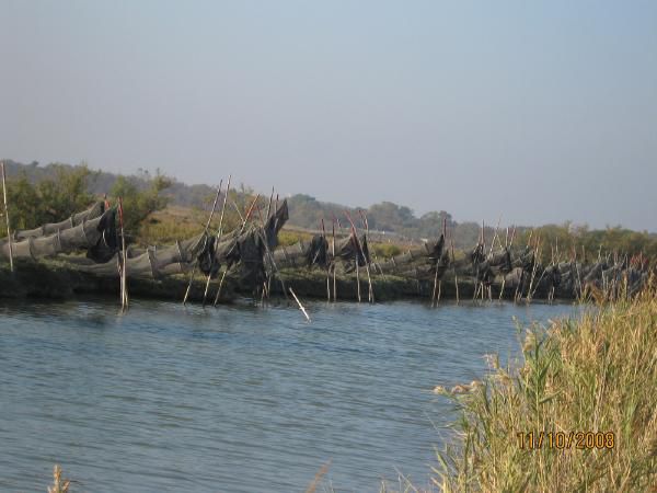 Album - Balade-dans-les-Cabanes-de-Mauguio