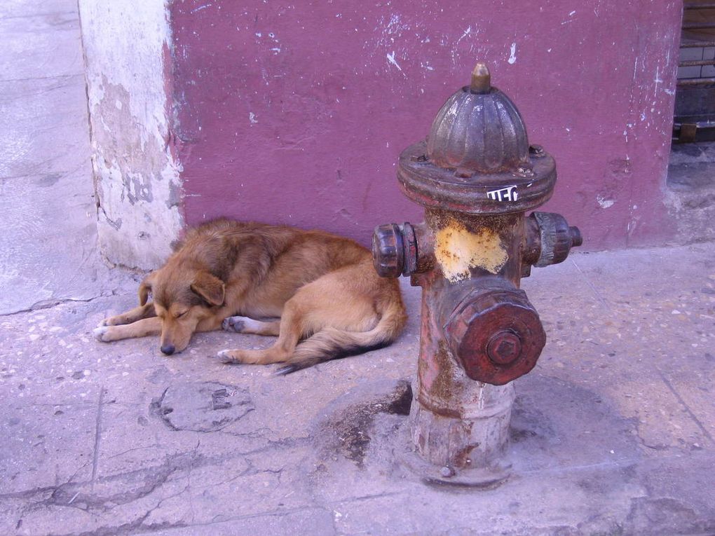 Voyage à Cuba : octobre-novembre 2017