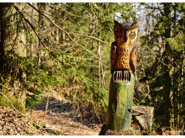 De belles sculptures en forêt de Saverne !