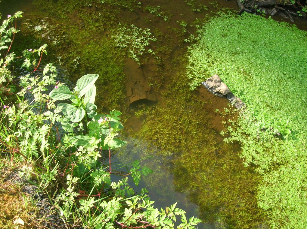 Pour l'anniversaire de Cél, je l'ai emmené à la base de loisirs de Blangy à Hirson pour une initiation à l'escalade et une promenade en canoë...