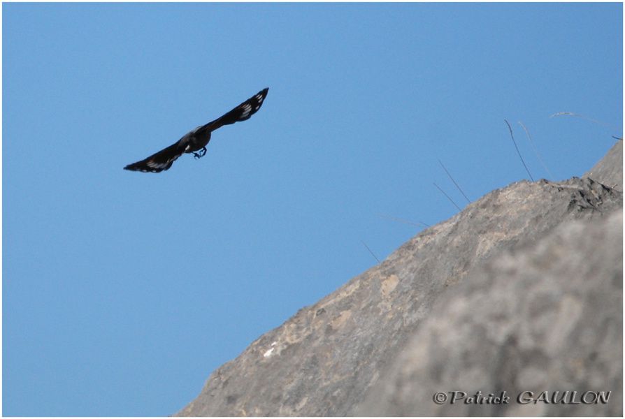 Album - Dans-le-ciel-de-la-vallee