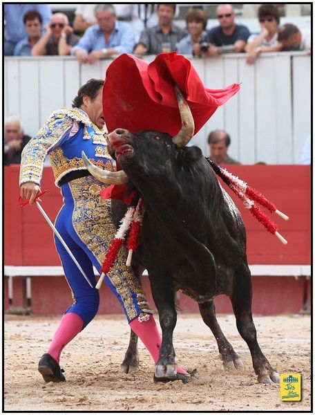 Arènes d'Arles-Feria du Riz Dimanche 8 septembre 2013 - Corrida de la Ganaderia La Quinta pour El Cid, Luis Bolivar et Diego Silveti - Cavalerie Alain Bonijol - Musique Chicuelo II