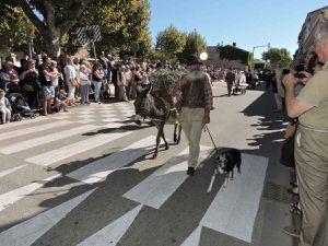 Mouriès, Fête des Olives vertes 3/6