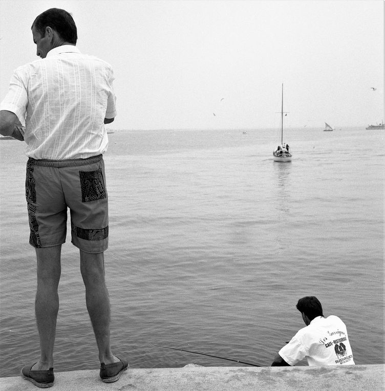 Au coeur de l'hiver, ou d'un printemps pluvieux,  alors que l'espace reste silencieux et humide, que la lumière traine au lit, les oiseaux de mer partent en vacances. Devant l'écran du ciel, ils s'imaginent dans un cinéma de plein air, et se racontent des histoires. Les oiseaux de mer, chez nous, ne s'en vont pas très loin, ils rêvassent plutôt, la haut, la haut... les vacances des oiseaux.