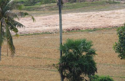 Les environs de Kampot et de Kep (Cambodge)