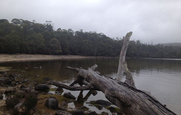 Tasmania du 14 au 20 juin