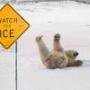 Holiday on ice in Belgium