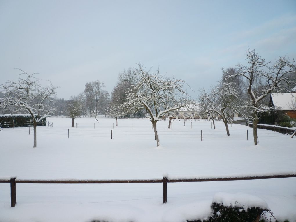 Album - jardin